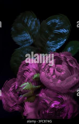 Purple roses behind fluted ribbed glass with blue leaf tint, dark black background, abstract art photography with liquid ripple effect. Stock Photo