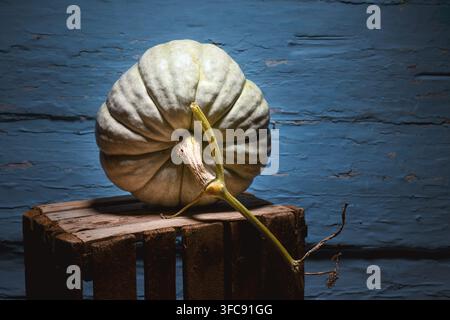 Single pumpkin on wooden crate against blue wall in low key lighting. Minimal autumn still life with squash and rustic texture Stock Photo