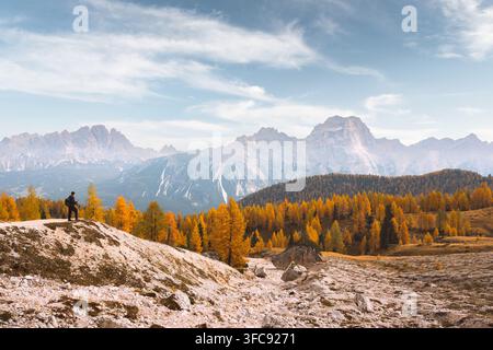 Hiker standing on a snowy ridge overlooking Monte Cristallo and autumn forests in the Dolomites. Scenic mountain landscape with golden larch trees and fresh snow Stock Photo
