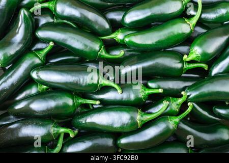 Fresh green jalapeno peppers forming dense pattern, top view composition. Spicy chili, organic produce bsckground, food texture, vibrant green color Stock Photo