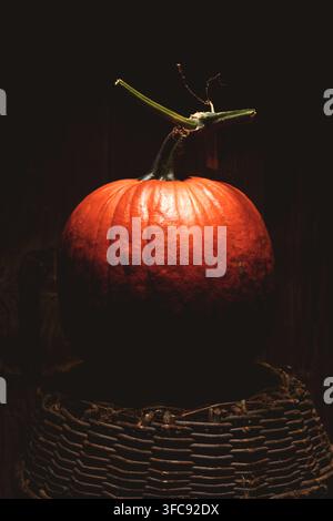 Close up of big orange pumpkin on wicker basket in low key lighting with deep shadows. Minimal autumn still life with squash and moody atmosphere Stock Photo