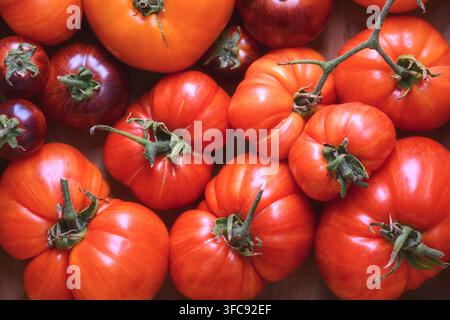 Cluster of red heirloom tomatoes filling the frame. Fresh seasonal vegetables, natural vegetarian ingredients Stock Photo