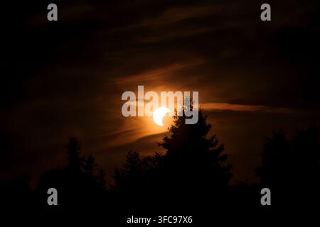 Partial solar eclipse glowing over silhouetted forest trees at dusk with dark negative copy space. Stock Photo