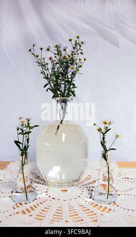 Wild dasies in three vases on white doily and white background. Bokeh. Stock Photo