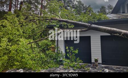 Fallen tree on house roof after storm. hurricane damage, property insurance Stock Photo