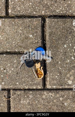 High angle view of a bunch of house keys with a wooden cat charm lying on gray concrete paving tiles on the sidewalk. Stock Photo