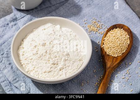 Healthy Organic Raw Quinoa Flour Ground in a Bowl Stock Photo