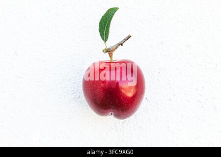 Single, glossy red plum with green leaf on white background. Fruit looks fresh and ripe, perfect for food, health, or agriculture themes. Isolated sho Stock Photo