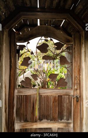 Weathered timber gate with a rusted iron vine panel framing banana plants on a smallholding, La Palma, Canary Islands, Spain Stock Photo