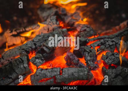 Burning logs and glowing red coals in a campfire, outdoor recreation, camping and bushcraft background. Stock Photo