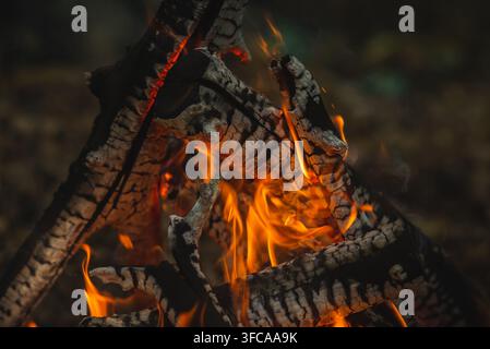 Close-up view of burning firewood and bright flames in a campfire, camping and outdoor lifestyle concept. Stock Photo