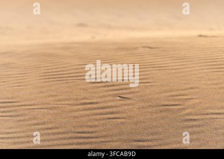 Sand ripple texture across dune surface with natural wind patterns Stock Photo