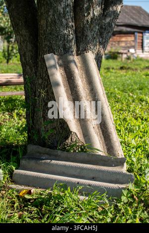 Broken corrugated sheet roofing material leaning against a tree trunk Stock Photo