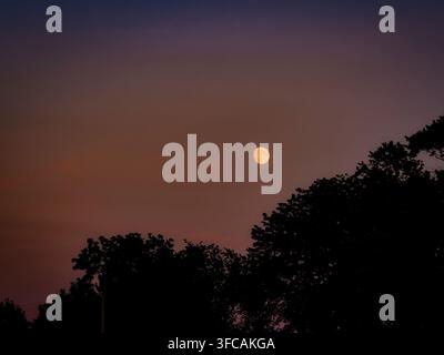 Full moon glowing in a colorful dusk sky above silhouetted tree line silhouettes during twilight hours Stock Photo