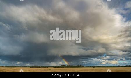 Dramatic storm clouds with a rainbow over a golden agricultural field and tree line, creating a striking rural landscape after rainfall. Stock Photo