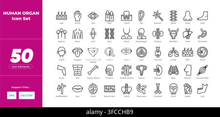 Human organ icons displayed in clean, minimalist line style Stock Vector