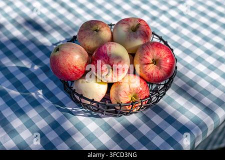 Fresh summer apples arranged in a woven metal basket on a checkered tablecloth in a sunny home garden. Rustic outdoor still life with seasonal fruit a Stock Photo