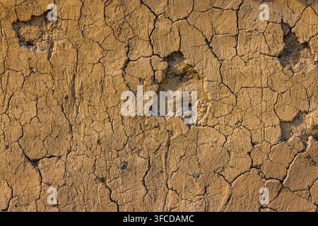 Close-up of a cracked earth wall showcasing warm sandy brown tones. Numerous fissures and small pebbles enhance the rough, textured surface. Stock Photo