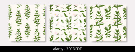 Set of three floral seamless patterns with green hedge hyssop branches and pink flowers isolated on light background Stock Vector