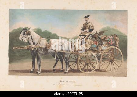 Two-horse carriage, His Royal Highness Archduke Wilhelm, Coach with two horses, of William of Austria, photomechanical print, This print is part of a cover with 86 prints on 78 sheets and 11 text sheets., 1880-04-17 - 1881, paper, collotype, hand coloring, height 231 mm x width 411 mm, four-wheeled vehicle drawn by two animals (+ one person, traffic and transport)., A painted scene shows a decorative horse-drawn carriage pulled by a pair of white horses wearing harnesses and floral headpieces, standing on a flat ground in front of a soft green and blue background that suggests foliage and sky; Stock Photo