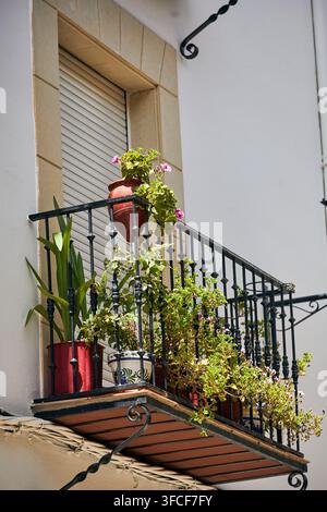 Traditional wrought iron balcony filled with potted plants beside a shuttered window, with decorative metal brackets on a white facade in Baeza Stock Photo