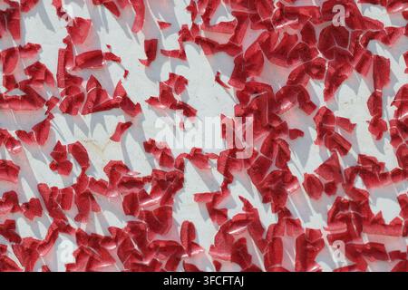 Macro Abstract Texture of Heavily Peeling and Flaking Red Paint on White Surface Stock Photo