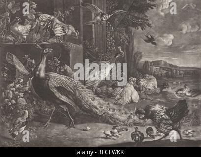 Landscape with fowl, print, Landscape with various fowl, including a peacock and a hen with chicks. In the background a country house., printmaker, after painting by, publisher, grantor of privilege, Melchior d' Hondecoeter, paper, mezzotint, height 286 mm x width 385 mm, ), water-birds: duck, ornamental birds: peacock., A detailed grayscale scene shows a variety of birds gathered on the ground and perched on low stone structures, with a large peacock in the foreground displaying an ornate tail, several chickens and other fowl clustered nearby, a peahen and smaller birds scattered around, and Stock Photo