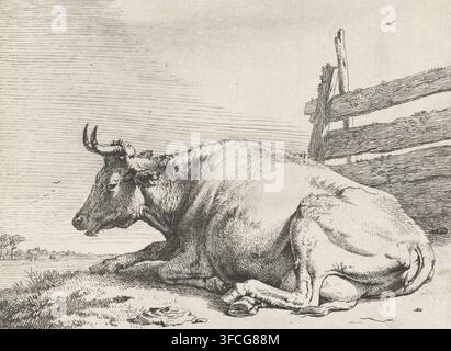 Lying cow by a fence, The Bullenboekje, print, A cow lying by a fence., printmaker: Paulus Potter, Low Countries, 1650, paper, etching, height 108 mm x width 145 mm, cow., A detailed pen-and-ink drawing of a large cow lying on the ground with its head turned to the side, showing textured fur, curved horns, and visible facial features; behind the cow there is a rustic wooden fence with rough, weathered planks and small plants or vines clinging to it; the foreground shows grassy tufts and uneven ground rendered with fine hatch lines, and the distant background includes a flat landscape with a Stock Photo