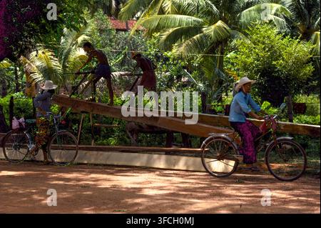 Two carpenters at work cutting planks from tree trunks, Prey Veng Province, Cambodia, Sept 1988. Stock Photo