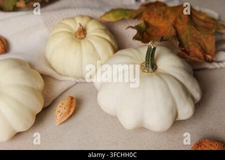 Three white mini pumpkins with autumn leaves and almonds on textured beige background Stock Photo