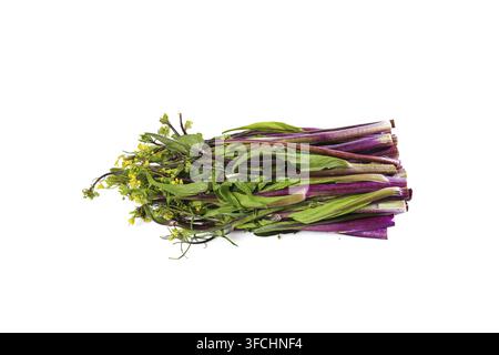 Bunch of purple-stemmed flowering leafy greens isolated on white background. Stock Photo