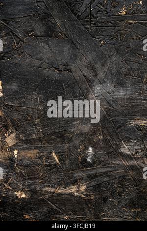 Black painted oriented strand board OSB wood texture. Stock Photo
