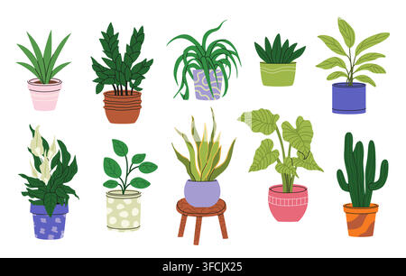Potted houseplants set. Alocasia, zamioculcas, snake plant, peace lily, spider plant, peperomia, cactus, aloe in various ceramic pots. Indoor plants i Stock Vector