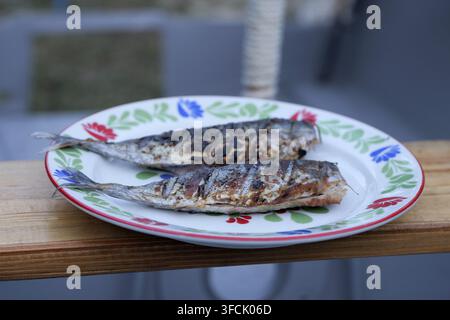 Two grilled mackerel fish are serving on a decorative white plate with a red rim, resting on a wooden surface, highlighting fresh seafood cooking and Stock Photo