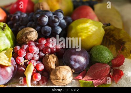 A close-up horizontal photograph of a colorful autumn harvest still life with red and dark grapes, ripe pears, plums, and walnuts with fallen leaves o Stock Photo