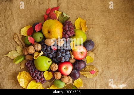 High angle view of fresh organic autumn fruits including ripe pears, red apples, purple grapes and walnuts arranged with colorful fallen leaves on a r Stock Photo