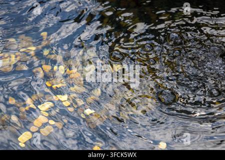Coins rest underwater in a fountain. Ripples and bubbles shape the surface. Light reflections create soft patterns on the metal. Stock Photo