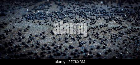 Close-up textured view of a dark sandy surface covered with scattered small black natural particles, creating an abstract organic pattern with shimmer Stock Photo