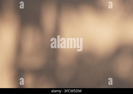Minimalist shot of soft tree shadows on a warm, textured beige wall. Ideal for aesthetic backgrounds, overlays, or nature-inspired design. Stock Photo