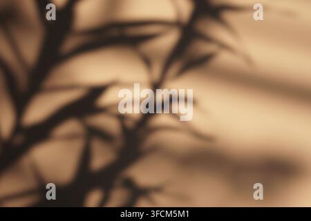 Soft-focus tree branch shadows cast on a warm textured surface, creating a minimalist organic aesthetic for backgrounds and artistic design. Stock Photo