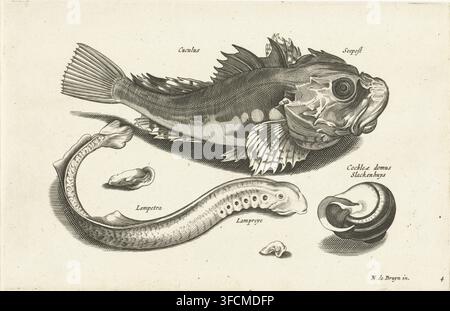 Peel, lamprey and snail shell, Freshwater fish, saltwater fish, frogs, crustaceans and sea creatures, Libelivs varia Genera piscium complectens, print, Series number, 4, 13, inscriptions identify these fish and the shell in Latin and Dutch., printmaker, after print by, publisher, Nicolaes de Bruyn, paper, engraving, height 132 mm x width 203 mm, )., A detailed black and white engraving showing a large fish with textured scales, a prominent round eye, layered fins with radiating lines, and a patterned tail, positioned above a long, curved eel-like creature with a series of circular markings alo Stock Photo