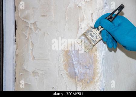 The painter primes the wall with a primer. Repair and priming of the wall before applying the plaster. Painting and construction work and interior dec Stock Photo