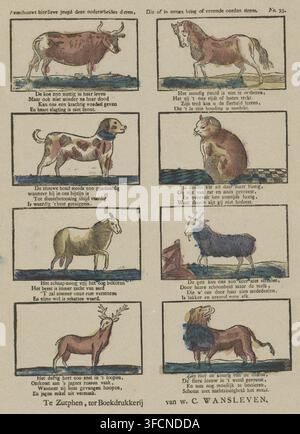 Behold here, dear youth, these distinct animals, Which thrive either in our circle or in foreign lands, print, popular print, Sheet with 8 depictions of animals, including a cow, a horse, a dog, a cat, a sheep, a goat, a deer, and a lion. Below each image a four-line verse. Numbered top right: no. 33., publisher: Willem Carl Wansleven, Zutphen (city), Netherlands, 1806 - 1858, printmaker, paper, woodcut, colour, letterpress printing, woodcut colored in yellow, blue, red, and brown, text in letterpress, height 403 mm x width 333 mm, dog, horse, cat, goat, cow, animals., A printed page divided i Stock Photo