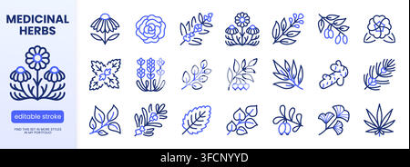 Herbs line icon set. Chamomile, lavender, eucalyptus, peppermint, echinacea, rosemary, rose flower linear minimal vector illustration. Simple outline Stock Vector