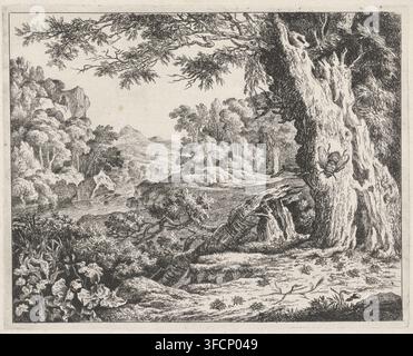 Landscape with ants and bees, print, View of a landscape with a river. In the foreground, a large bee sits on the trunk of a tree; to the left of this is the stump of a fallen tree. Countless ants are crawling across the ground., printmaker: Johan le Ducq, 1639 - 1677, paper, etching, height 191 mm x width 240 mm, insects: bee, landscapes - HH - ideal landscapes, insects: ant., A detailed black and white landscape engraving showing a wide foreground of textured ground, tangled roots, and leafy plants leading toward a body of water and rocky banks; a large, gnarled tree trunk fills the right Stock Photo