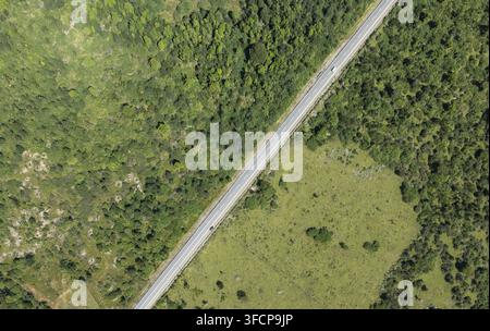 Carretera Austral, Long straight road, aerial view, Hornopiren, Patagonia, Los Lagos, Chile Stock Photo