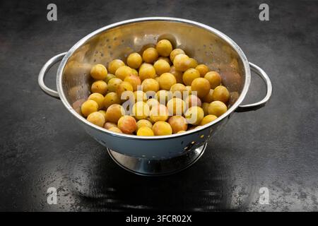 Mirabelle plum tart recipe. Close-up shot of Mirabelle plums in a stainless steel colander placed on a black floor Stock Photo