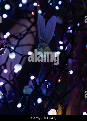 Creative photography featuring a small bird decoration surrounded by colorful bokeh lights Stock Photo