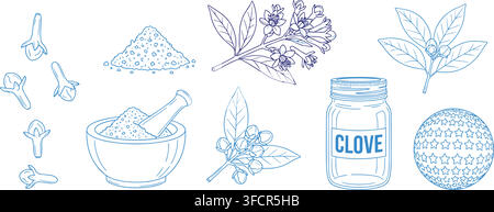 Clove plant spice line drawings set with blue elements for cooking ingredient illustration and herbal branding. Stock Vector