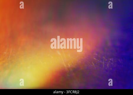 Extreme close up of abstract vibrant iridescent holographic rainbow foil background with lens flare. Glitter surface. Selective soft focus, shallow de Stock Photo